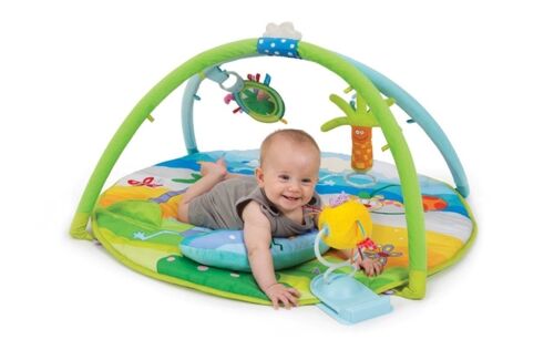 Taf Toys babygym